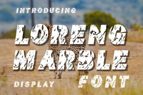 Loreng Marble: A Refined Display Font for Digital Branding